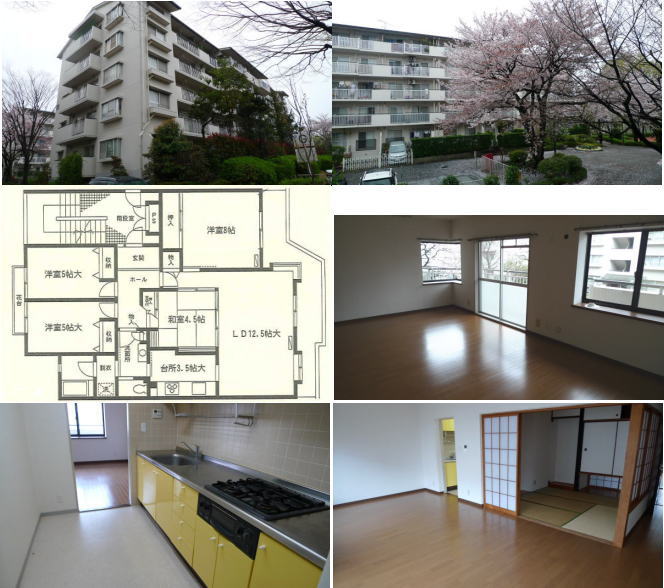 メゾン桜ヶ丘3号棟 メゾン桜ヶ丘3号棟